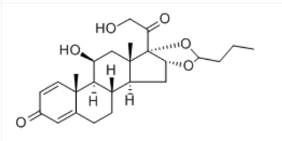 Budesonide Cas č. 51333-22-3